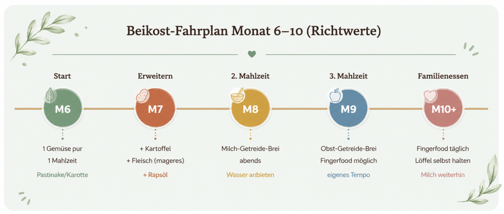 Beikost-Fahrplan (Monat 6-10)