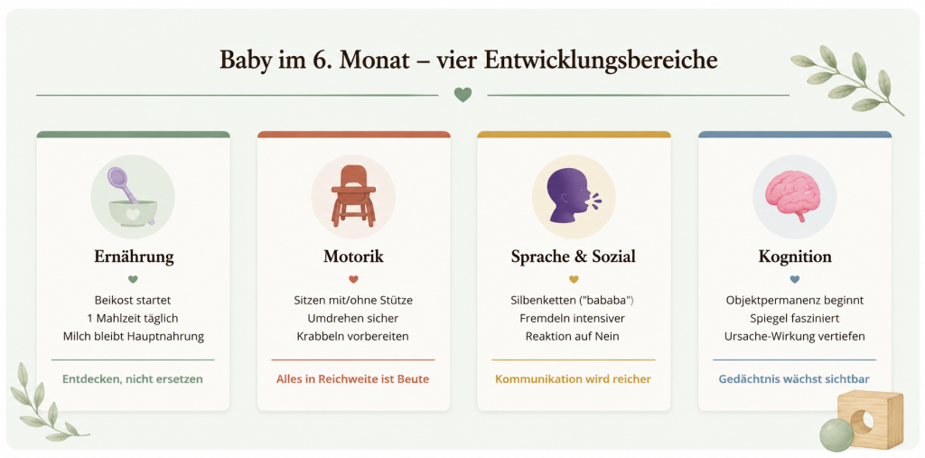 Baby im 6. Monat - vier -Entwicklungsbereiche - Ernährung, Motorik, Sprache, Kognition