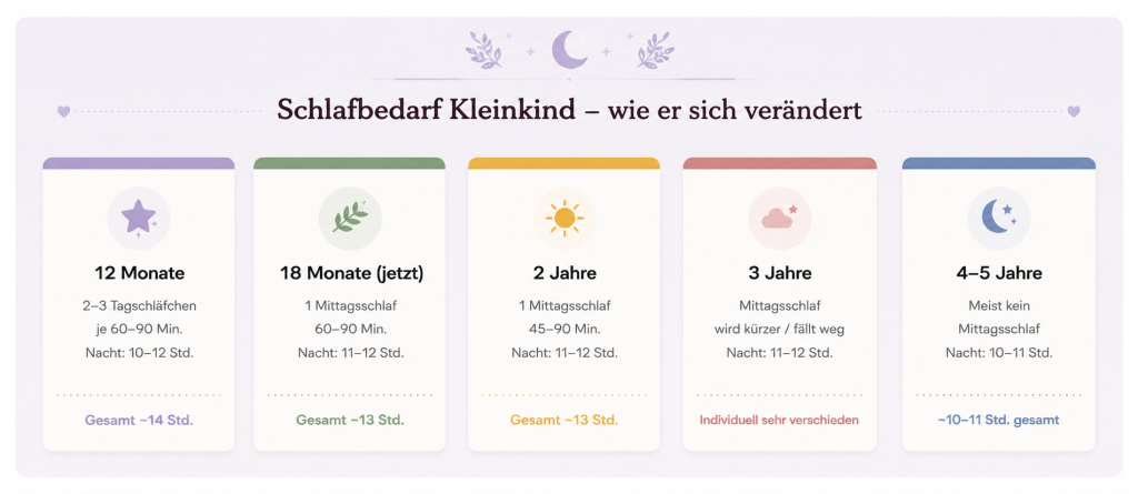 Wie sich der Bedarf für den Mittagsschlaf bei Kleinkindern verändert - 12, 18 Monate, 2, 3, 4 Jahre
