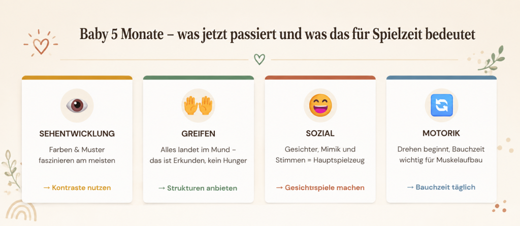 Baby 5 Monate: Sehentwicklung, Greifen, Sozial, Motorik