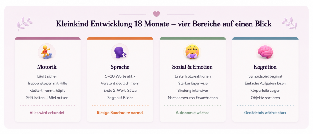 Kleinkind Entwicklung mit 18 Monaten - vier Bereiche auf einen Blick - Motorik, Sprache, Sozial & Emotion, Kognition