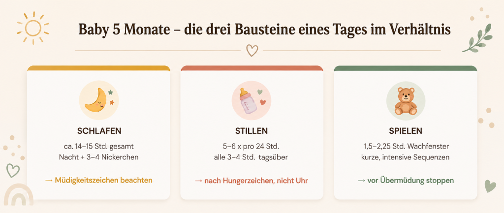 Tagesablauf mit 5 Monaten - die drei Bausteine eines Tages: Schlafen, Stillen, Spielen
