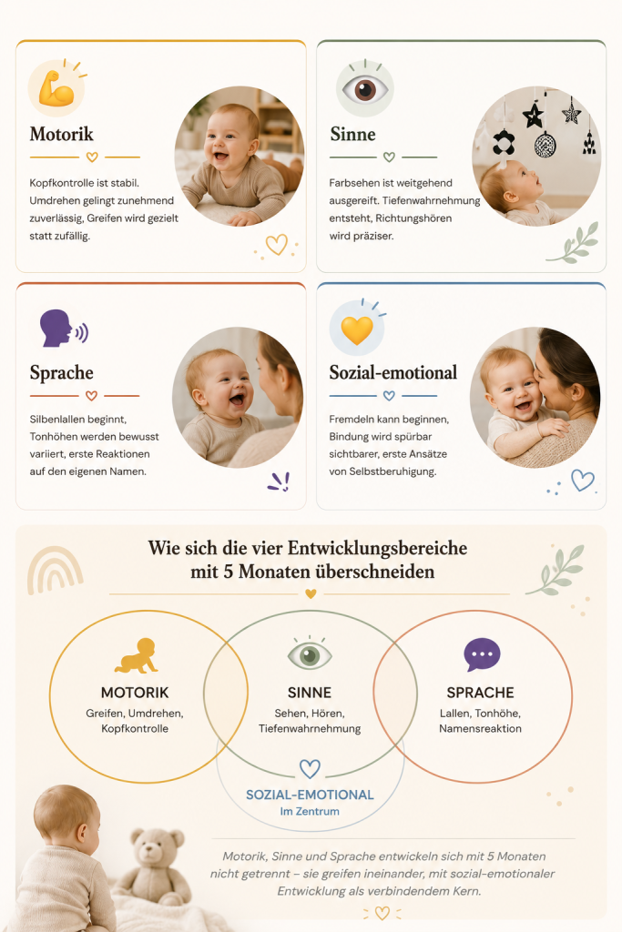 Motorik, Sinne und Sprache entwickeln sich mit 5 Monaten nicht getrennt – sie greifen ineinander, mit sozial-emotionaler Entwicklung als verbindendem Kern
